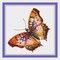 Pink, Orange and Black Butterfly in Flight Counted Cross Stitch Pattern